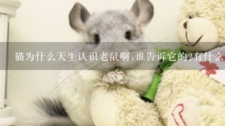 猫为什么天生认识老鼠啊,谁告诉它的?有什么科学道理