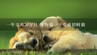 一年交易20万只 宠物猫一下变成招财猫