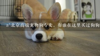 a'北京高端宠物狗专卖，有谁在这里买过狗狗吗？感觉怎么样？