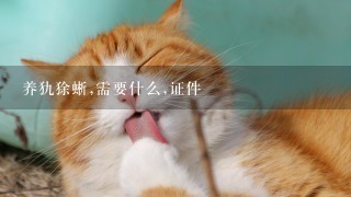 养犰狳蜥,需要什么,证件