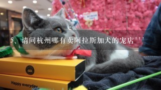 请问杭州哪有卖阿拉斯加犬的宠店```