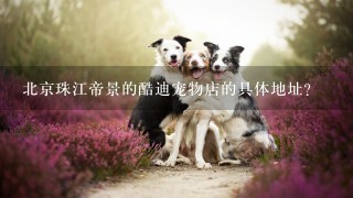 北京珠江帝景的酷迪宠物店的具体地址?