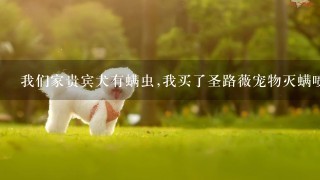 我们家贵宾犬有螨虫,我买了圣路薇宠物灭螨喷剂,喷后狗的肚皮和后腿内侧怎么出现红肿的现象?