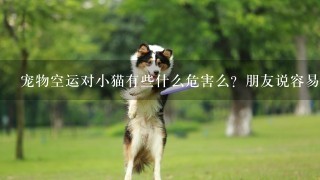 宠物空运对小猫有些什么危害么？朋友说容易死~~