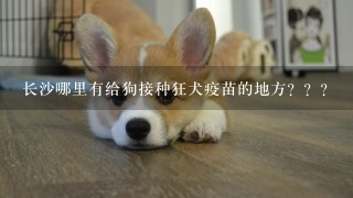 长沙哪里有给狗接种狂犬疫苗的地方？？？