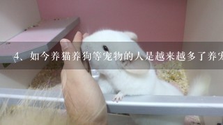 如今养猫养狗等宠物的人是越来越多了养宠物会给小区