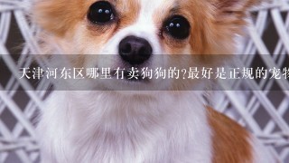 天津河东区哪里有卖狗狗的?最好是正规的宠物商店，对了，河东东风立交桥附近的，谢谢，重赏!