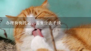 办理狗狗托运，需要什么手续