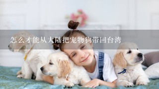 怎么才能从大陆把宠物狗带回台湾