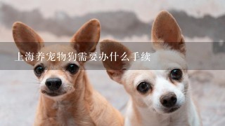 上海养宠物狗需要办什么手续