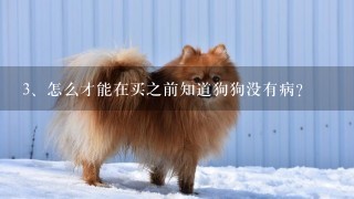 怎么才能在买之前知道狗狗没有病？