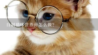 自制猫咪营养膏怎么做？