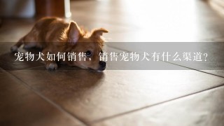 宠物犬如何销售，销售宠物犬有什么渠道？