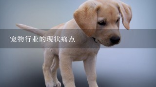 宠物行业的现状痛点