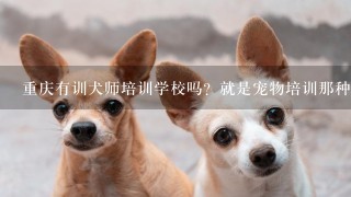 重庆有训犬师培训学校吗？就是宠物培训那种，宠物行业市场前景怎么样？