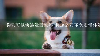 狗狗可以快递运回家吗 快递公司不负责活体运输！