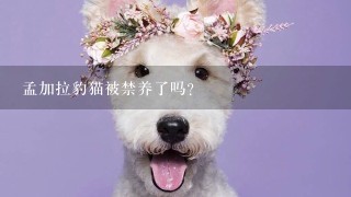 孟加拉豹猫被禁养了吗？