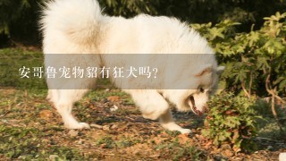 安哥鲁宠物貂有狂犬吗?