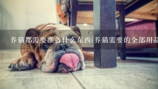 养猫都需要准备什么东西(养猫需要的全部用品有哪些)