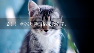 急！！求QQ炫舞情侣宠物名字。