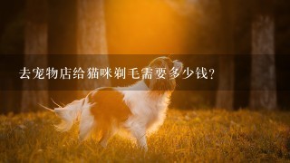 去宠物店给猫咪剃毛需要多少钱？