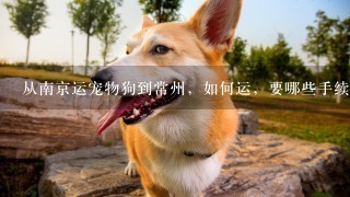 从南京运宠物狗到常州，如何运，要哪些手续，费用大概多少？
