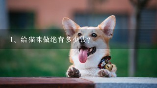 给猫咪做绝育多少钱？