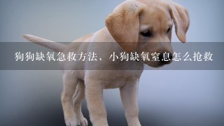 狗狗缺氧急救方法，小狗缺氧窒息怎么抢救