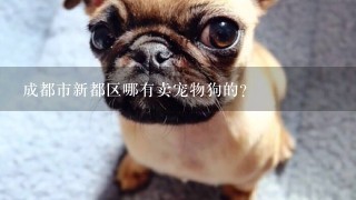 成都市新都区哪有卖宠物狗的？