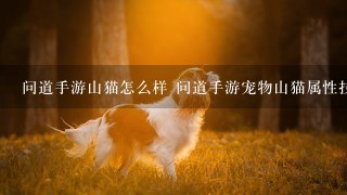 问道手游山猫怎么样 问道手游宠物山猫属性技能图鉴一览