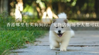 香港哪里有买狗狗的，宠物店狗场个人都可以，多谢提