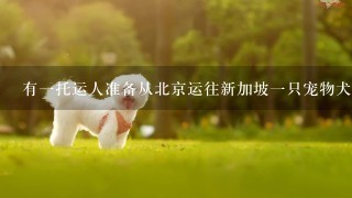 有一托运人准备从北京运往新加坡一只宠物犬，请问代理人如何向航空公司交运。 （1）收运这只名贵犬各项注意事项应参照IATA...