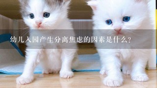 幼儿入园产生分离焦虑的因素是什么？