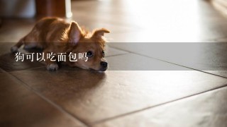 狗可以吃面包吗