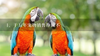 干五年宠物销售挣钱不