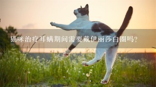 猫咪治疗耳螨期间需要戴伊丽莎白圈吗?