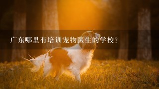 广东哪里有培训宠物医生的学校？