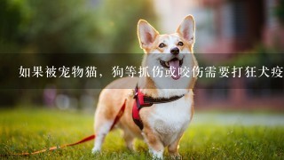 如果被宠物猫，狗等抓伤或咬伤需要打狂犬疫苗吗？