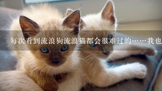 每次看到流浪狗流浪猫都会很难过的……我也会力所能及的帮它们，帮不了的我就非常难过，有的人就说我至于