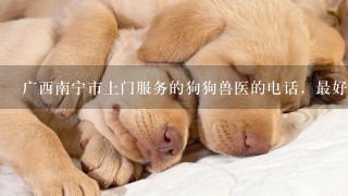 广西南宁市上门服务的狗狗兽医的电话，最好是比较有