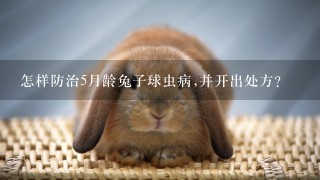 怎样防治5月龄兔子球虫病,并开出处方？