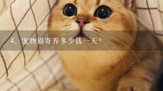 宠物猫寄养多少钱一天？