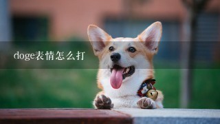 doge表情怎么打