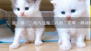 猜一猜‘’尾八连拖二八出＂是哪一种动物。理由是什