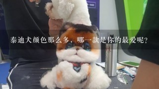 泰迪犬颜色那么多，哪一款是你的最爱呢？