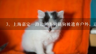 上海嘉定一路边80多只猫狗被遗弃户外，这些小动物受