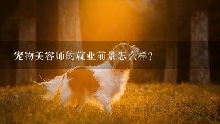 宠物美容师的就业前景怎么样?