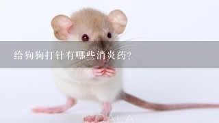 给狗狗打针有哪些消炎药？