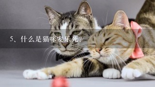 什么是猫咪安乐死？