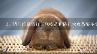 请问给猫猫打三联疫苗和防狂犬疫苗要多少钱？每年要